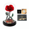 Beauty and the Beast bundle Geschenkset mit Rose im Glas