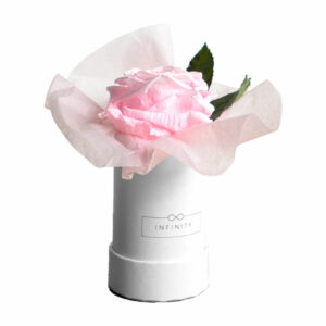 Extra Small Sakura Pink haltbare Rose mit Deko