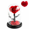 Infinity Rosen im Glass Dome Rosen in Rot