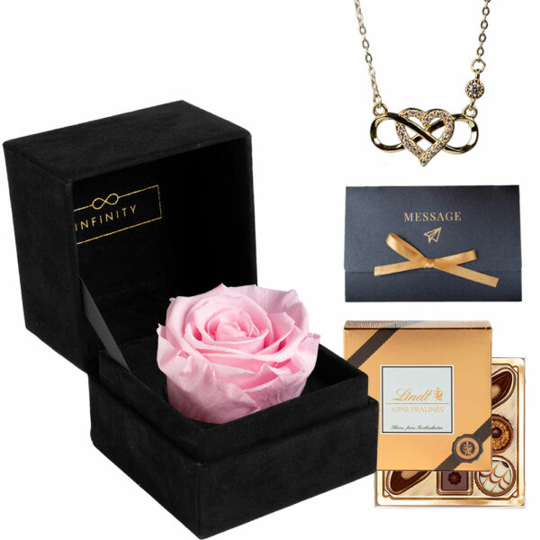 rosa Rose jahrelang haltbar Infinity Rose Geschenk Set