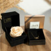Velvet Chain Set mit Champagne Rose
