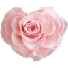 Herz Bridal Pink