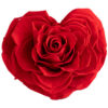 Herz Vibrant Red