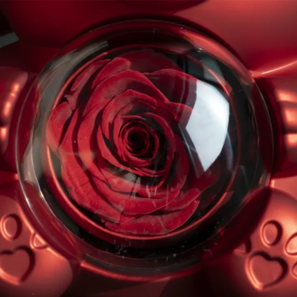 Echte Rose Rosenbär