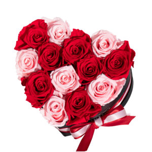 Infinity Herzbox Large Mix